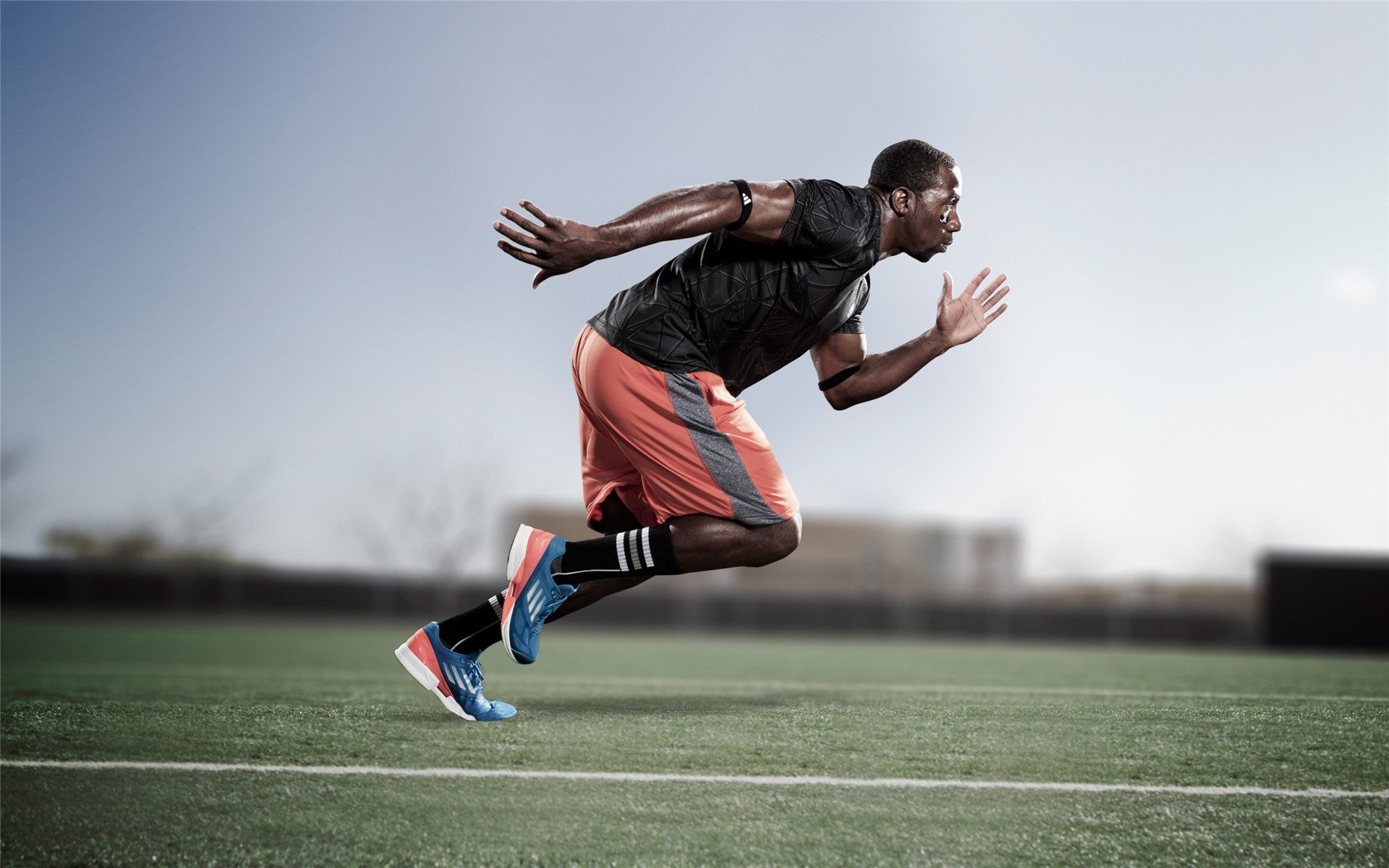 创纪录拳击手年内三战全胜，拳击史上